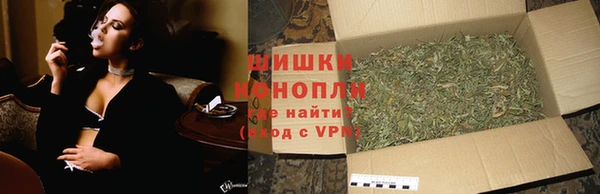 крисы Пестово