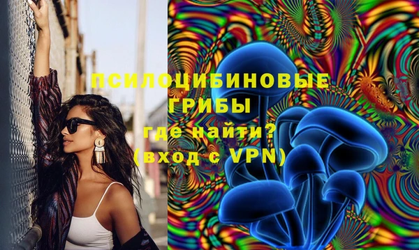 крисы Пестово