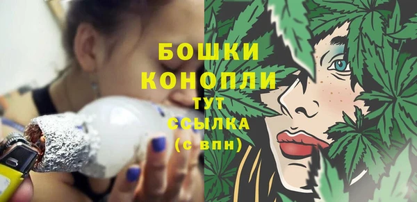 крисы Пестово